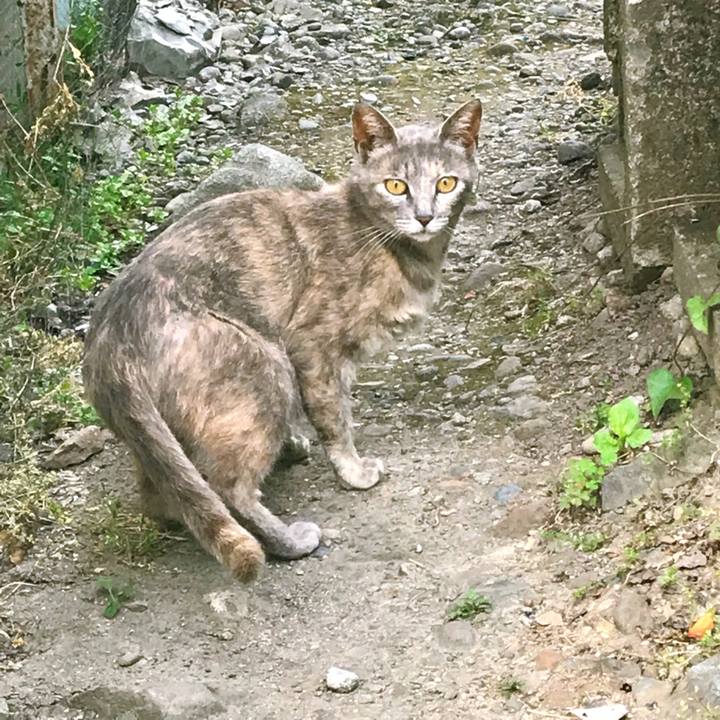 02d40465 f136 4609 9d24 84eaaf121c50 1528462313988