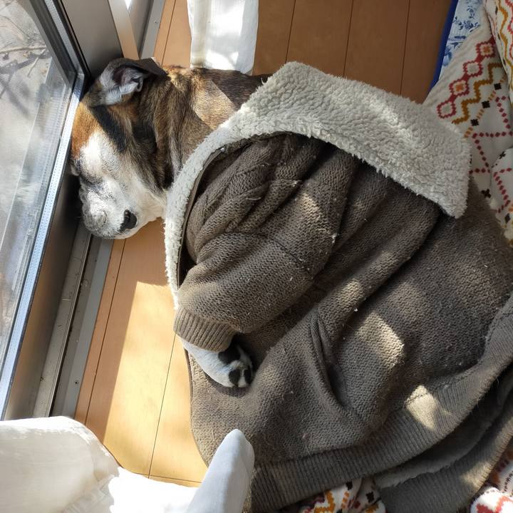 02d453a6 3361 448f b1ce d7b5a6a03a64 1645706319033