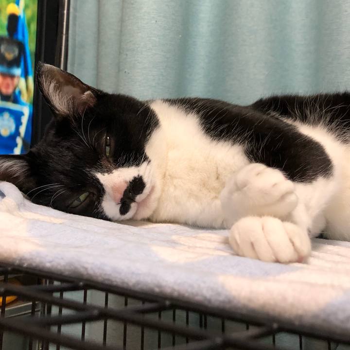 02d45e8a 6f5e 43a0 8983 7964443f5ce4 1560180084821