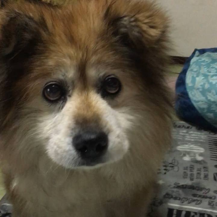 02d48139 857b 4a17 b7fe 1c4a33418454 1571230859490