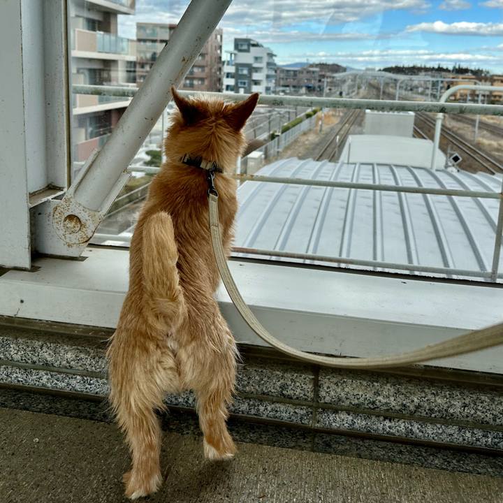 02d496db d750 41e0 bc86 f8cb9d167cd3 1708931222796