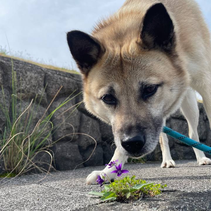 02d49aab 6294 408b 8a4a cc1096e9cfdf 1680438284940