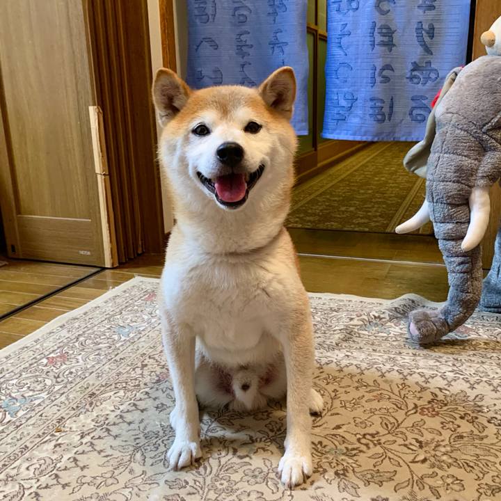 02d4ac50 6a1a 45f7 b8c8 636dd1564aab 1692097926263