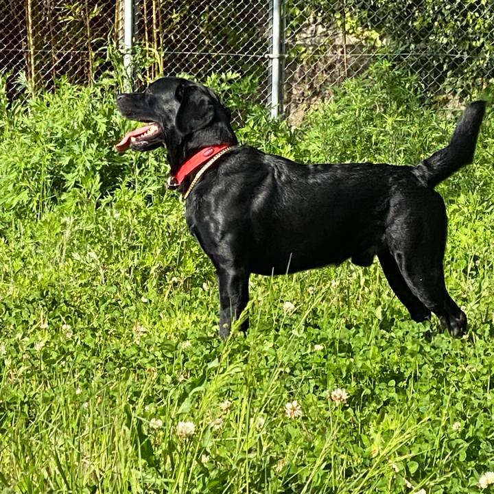 02d4f576 26a0 4acf bab0 ff608de26563 1617956091642