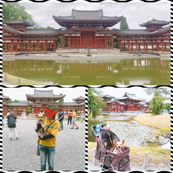 02d4fd9d 897f 4b12 811d 2c1e8bdb9c3f 1560068355704