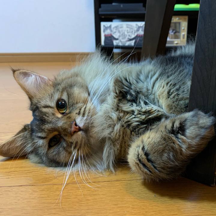 02d57573 20db 4fc2 a336 c77b1d9c238c 1757284951797