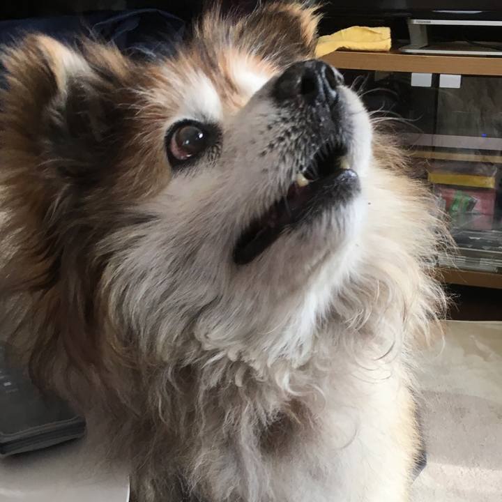 02d5773d 562b 44cf 97f3 849edb37d16f 1566006962309