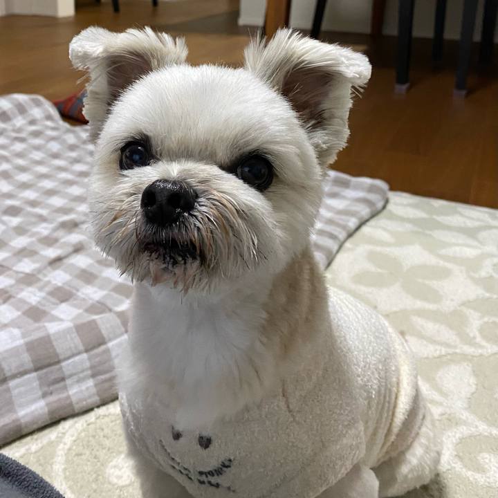 02d59031 a4ab 4ddb 83d6 2caf8d5c5e07 1706533516571