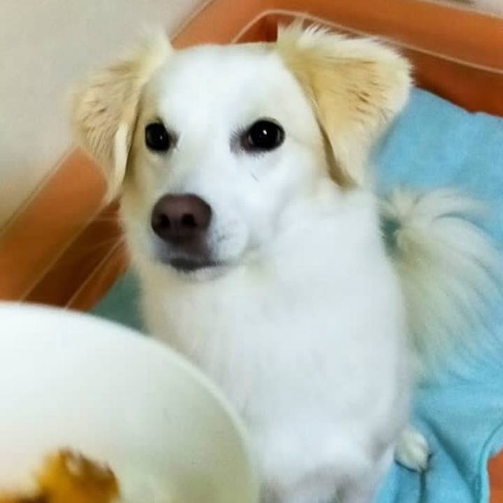 02d59927 621f 4982 85ba 36e35701c98a 1704261452144