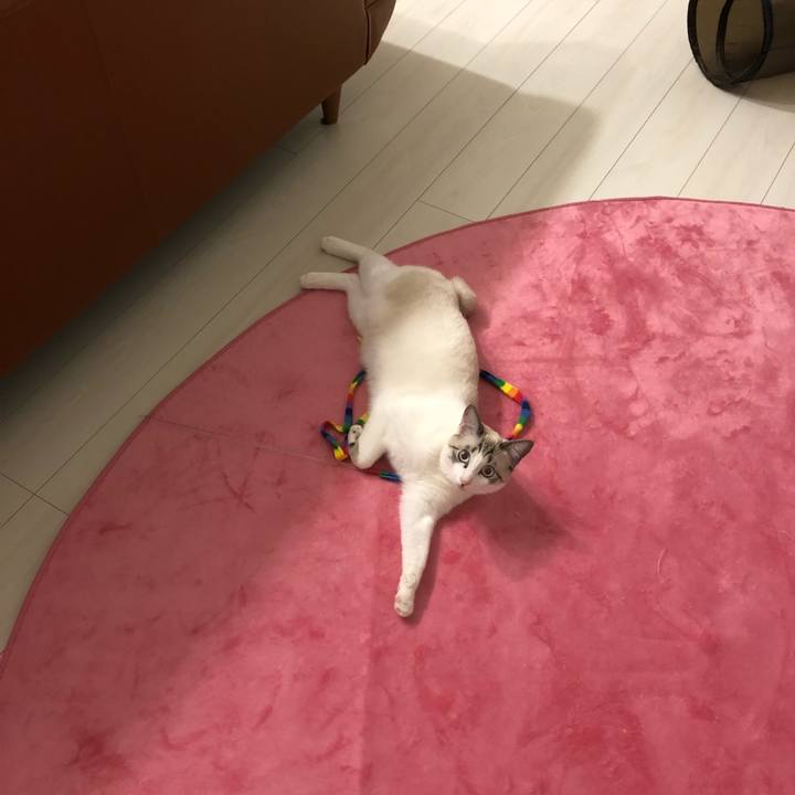 02d5c4cb fa81 4f10 8016 6ad5368d384a 1520779006776