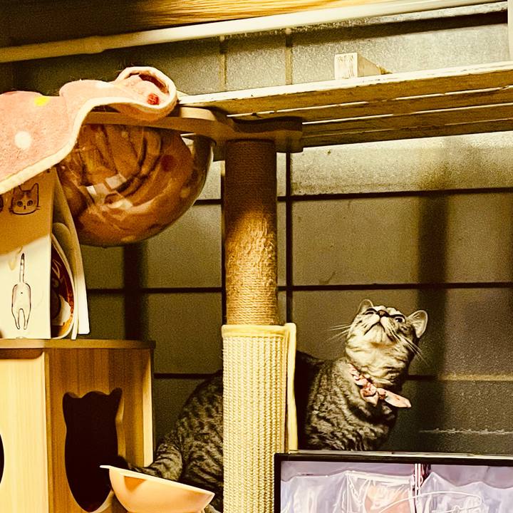 02d5d25a 4f6a 4028 9492 7760b973b1fa 1766286935322