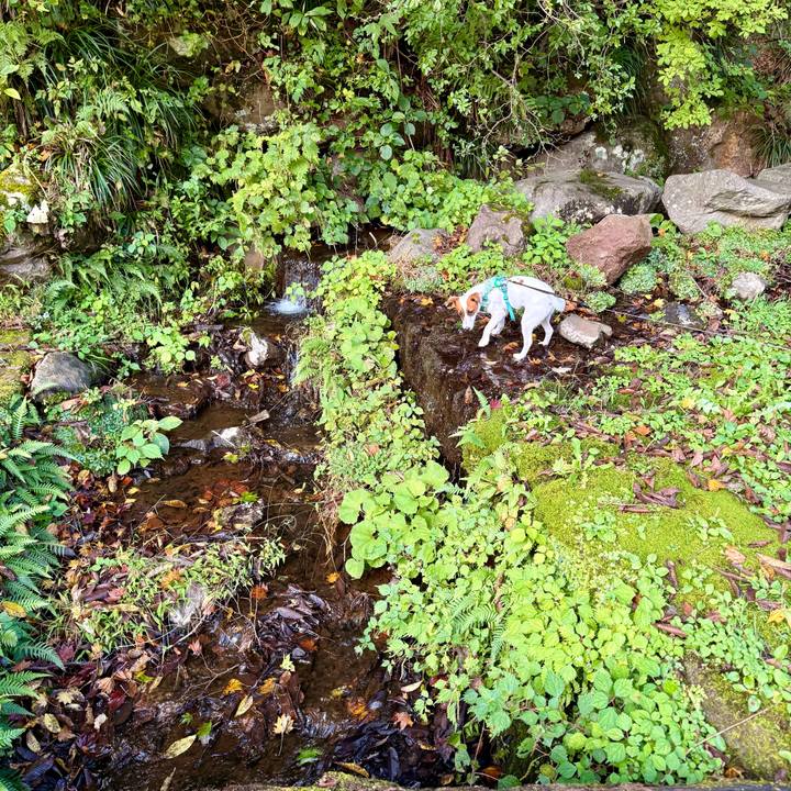 02d62533 1c1c 42a6 a808 2cb6320f9106 1760965279051