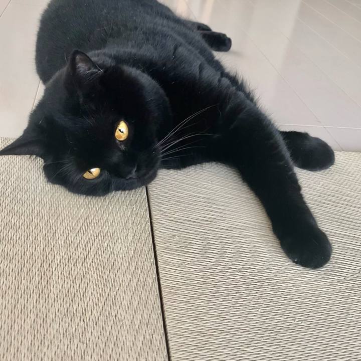 02d67916 a3bd 402e 984f 0eb55d055ea9 1655805897358