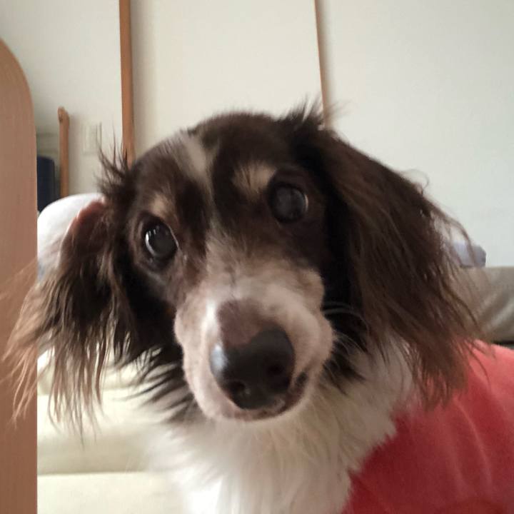 02d697cc 16c3 43ef 9f0a 0f8b84e8f845 1627130075864