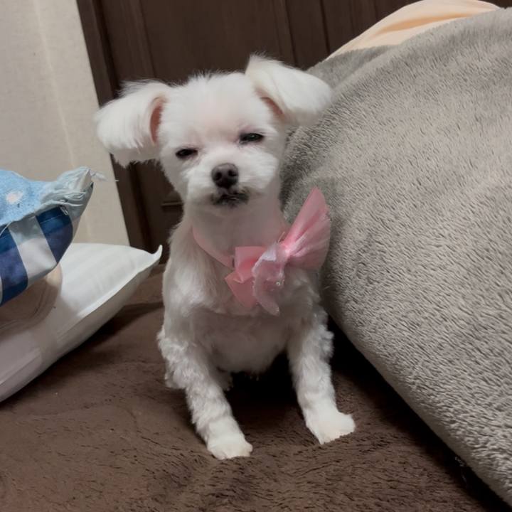 02d69866 f0ab 4839 b37b 27b4b75c45b6 1743637970138