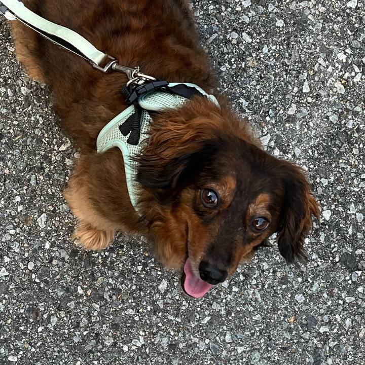 02d6baaa a2b7 4d4d 954a 4b286e723e4c 1721438721961