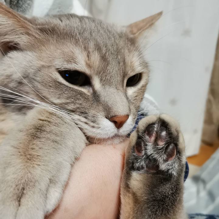 02d6c08e 4da6 40e4 bbcf b7ff56801c68 1611358320017