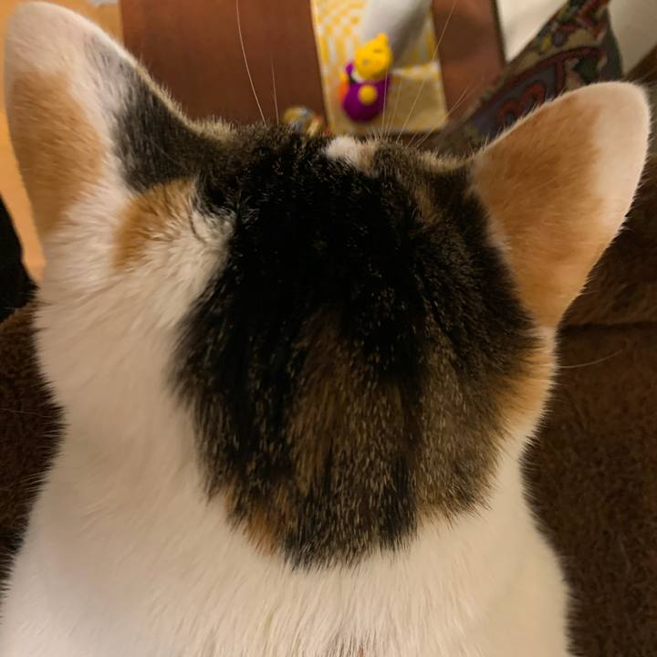 02d715f5 9b00 4f21 9126 09195f1dcaa1 1642591101976