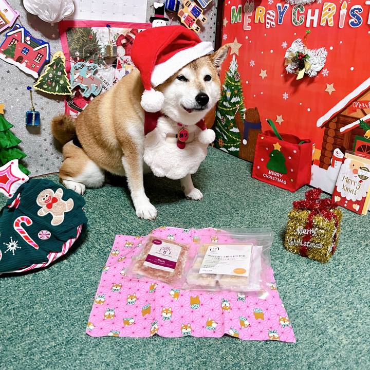 02d72f0f 0e05 4997 a22d 6b032fb94546 1703064798579