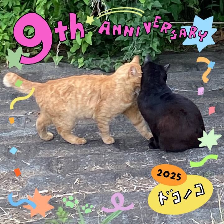 02d75e6d 18dc 42b3 be90 3e4d51ff662c 1749656670694