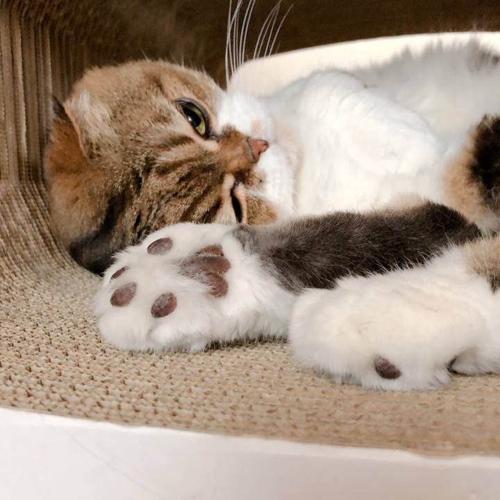 02d7641d f3a7 4aab 97f1 1c02fa91ed9f 1567145322628