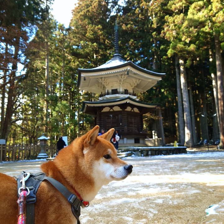 02d80bdb bc14 4698 ba9b de5f3045a9b8 1767088397924