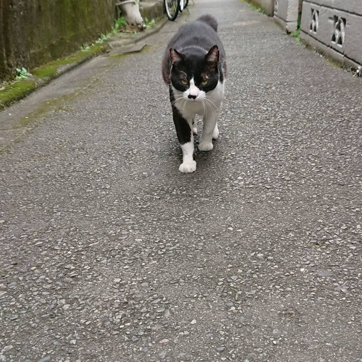 02d80c97 f2c5 4625 933e 8259d11a7fbc 1568431850363