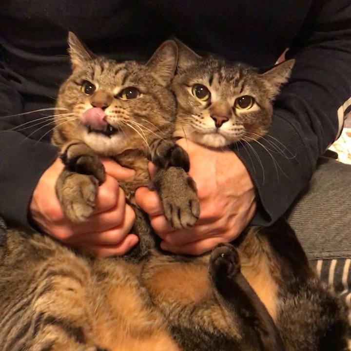 02d85f33 49c5 4154 8558 765520a9f968 1518996684979