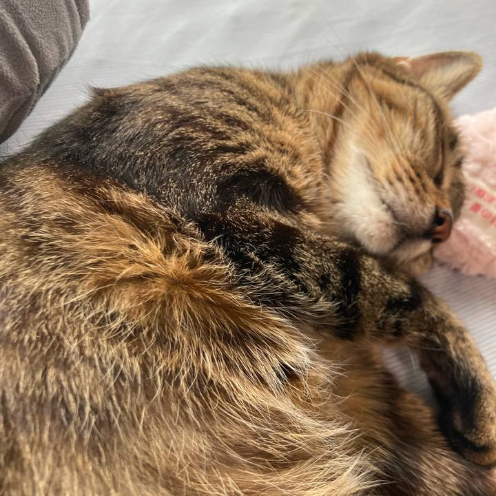 02d86092 2b6a 4f44 a384 989065c29190 1716182613818