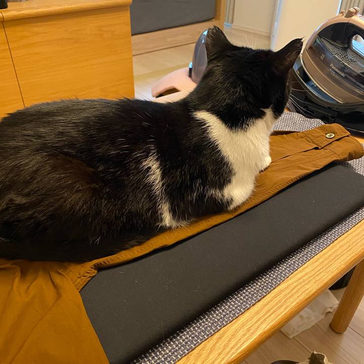 02d864a7 c5db 4dbe 98ee 8ed9be575e37 1751802978116