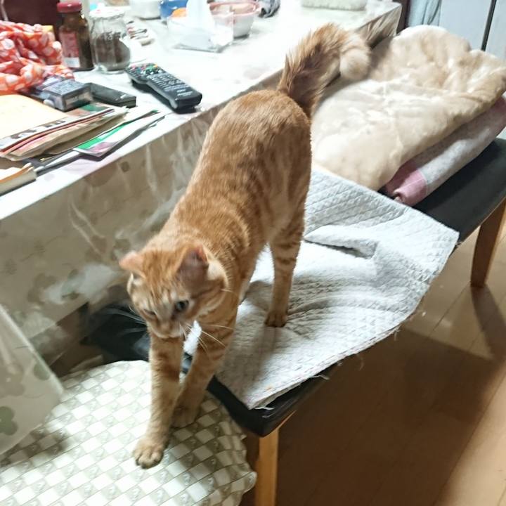 02d8650a d8c0 48e3 895e 75a8515ccc14 1646389472428