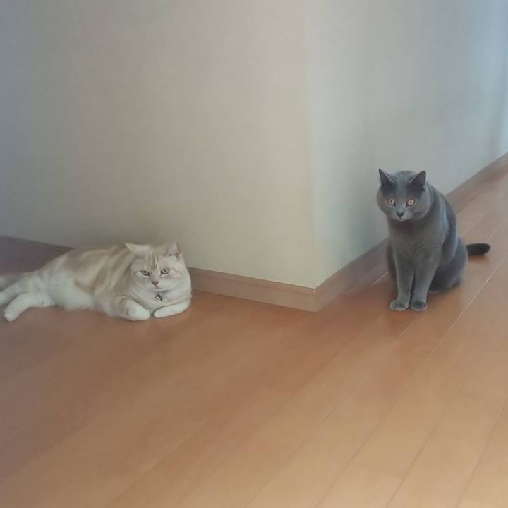 02d866b7 52ee 4834 972c 2fa9053c83d0 1556689762390