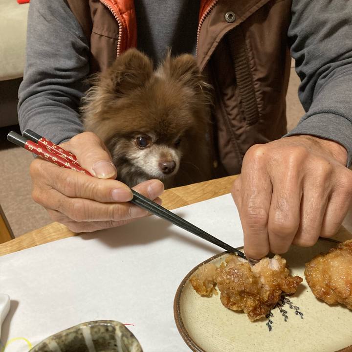 02d8888d 5a39 4a52 b039 8f52d5cbef65 1670117420858