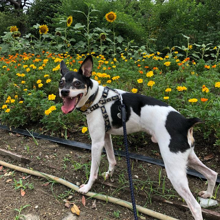 02d8c992 8544 4c2d 8b16 f0de2fc3d2b5 1532734661694