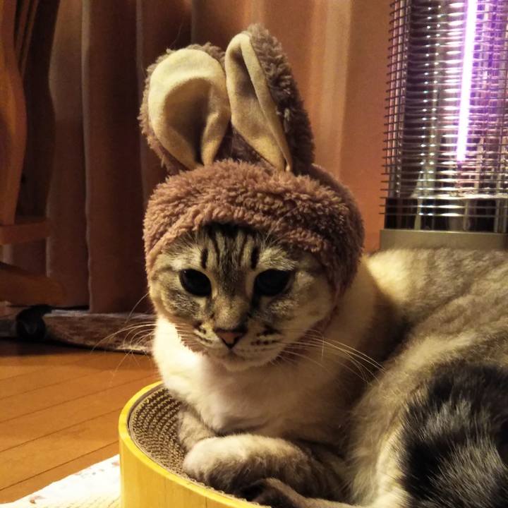 02d8e7d9 08d2 4aff b97c 4085690b54d6 1575129951236