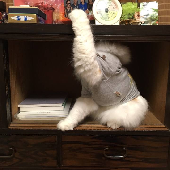 02d9180e 1709 4321 bb3b b2b4e96d361e 1549377520087