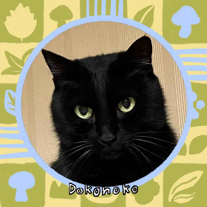 02d94715 4411 442c 8ab5 fce874d94b98 1763662683549