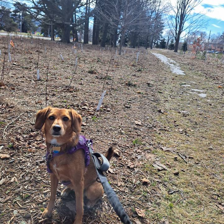 02d94fbf 83d8 4498 b1d7 b19f8056ca6e 1773092901437