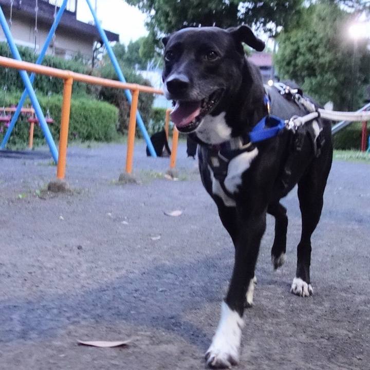 02d95973 e3c5 47bf adac ad92d22b3bf4 1651919799121