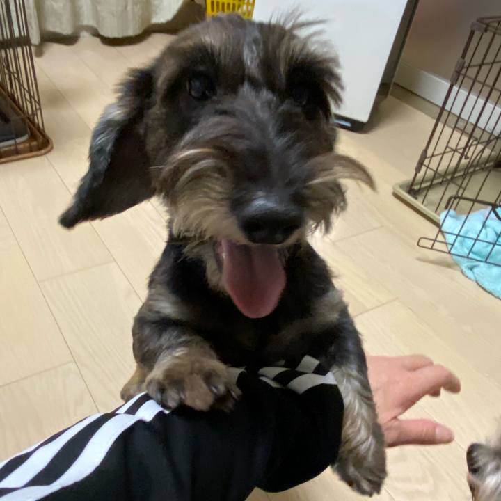 02d96544 05d4 4eb7 be99 753f1c3ce78c 1603158655743