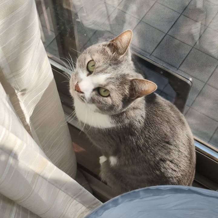 02d9d9da 366e 47fc 98fd 5ba1c104dd33 1773294616638