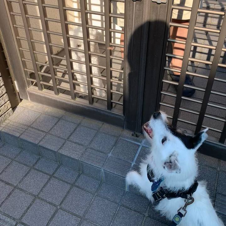 02da0a3e 6a54 4fd1 b8c3 f0bef24d4e1f 1721602095268