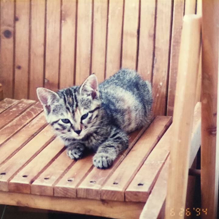 02da299d 3fe2 4d66 a15c 6db930e96b4a 1515324401880