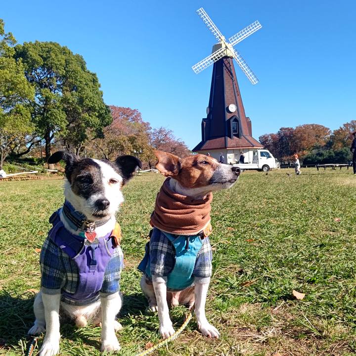 02da43ad ba7d 4f82 9ff5 8c620bab6c3a 1700354263840