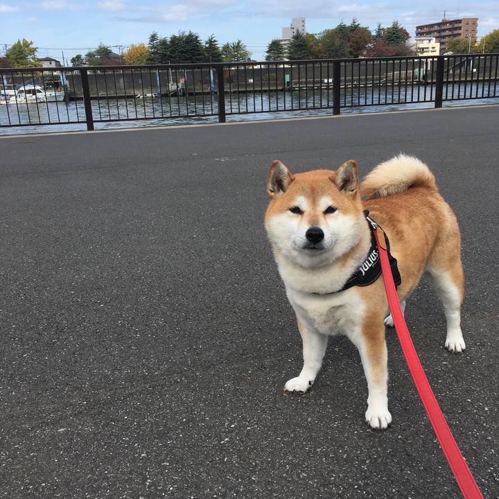 02da46f1 aa5b 4e5e 82e6 4efb55f23264 1604194415552