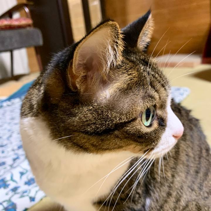 02da4d2b 51f2 4df7 98fd 602a17d3a981 1632575880287