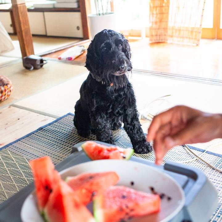 02da8902 61b9 41f0 9c89 02dba1bd8e56 1565235983899