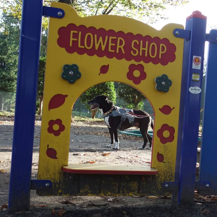 02daad94 3594 494a a822 a57a0df91552 1730333922875