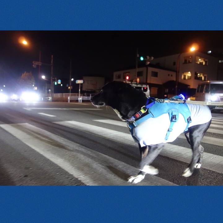 02dab232 66dd 40b6 9c23 07f0685ab3bf 1675163385210