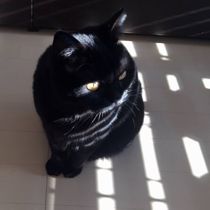 02dac321 de60 481d a7da c536e0dbf048 1552719151550